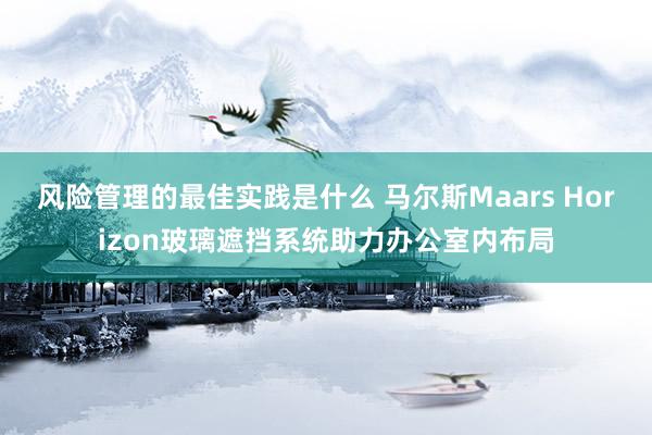 风险管理的最佳实践是什么 马尔斯Maars Horizon玻璃遮挡系统助力办公室内布局