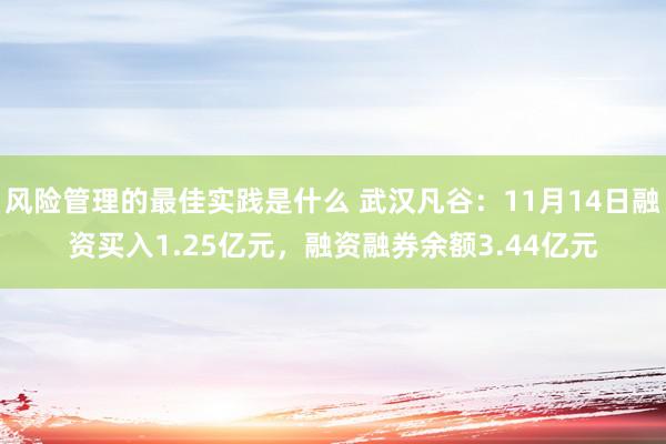 风险管理的最佳实践是什么 武汉凡谷：11月14日融资买入1.25亿元，融资融券余额3.44亿元