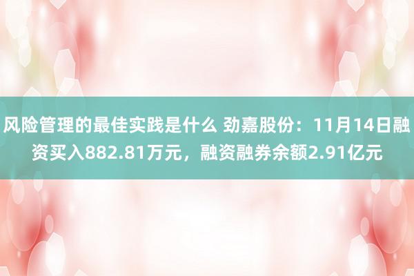 风险管理的最佳实践是什么 劲嘉股份：11月14日融资买入882.81万元，融资融券余额2.91亿元