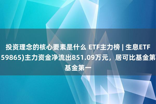 投资理念的核心要素是什么 ETF主力榜 | 生息ETF(159865)主力资金净流出851.09万元，居可比基金第一