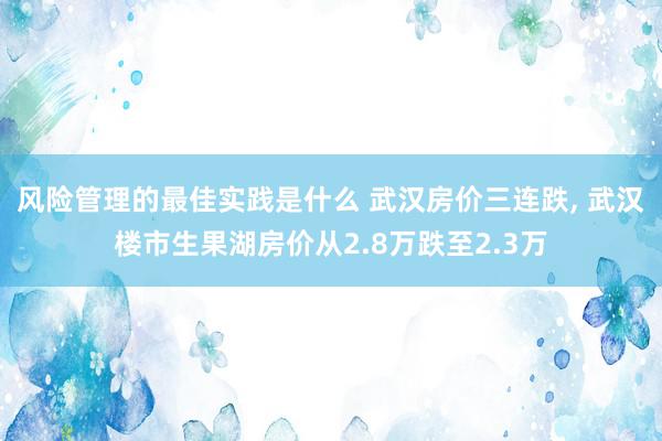 风险管理的最佳实践是什么 武汉房价三连跌, 武汉楼市生果湖房价从2.8万跌至2.3万