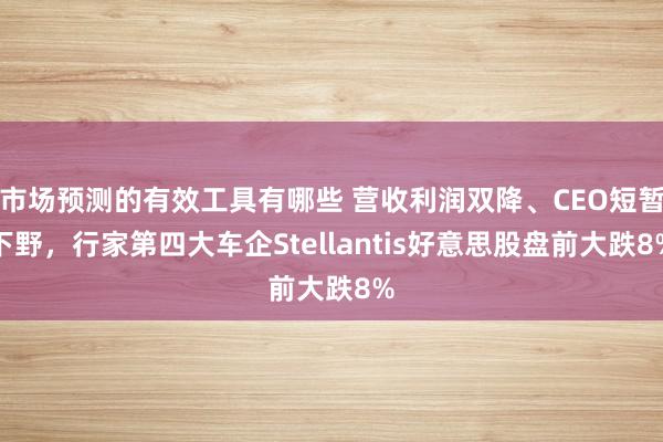 市场预测的有效工具有哪些 营收利润双降、CEO短暂下野，行家第四大车企Stellantis好意思股盘前大跌8%