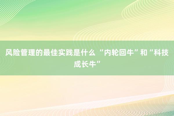 风险管理的最佳实践是什么 “内轮回牛”和“科技成长牛”