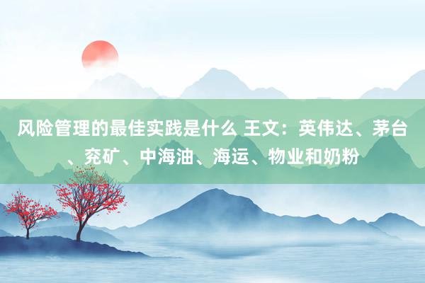 风险管理的最佳实践是什么 王文：英伟达、茅台、兖矿、中海油、海运、物业和奶粉