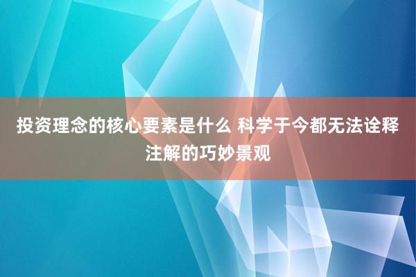 投资理念的核心要素是什么 科学于今都无法诠释注解的巧妙景观