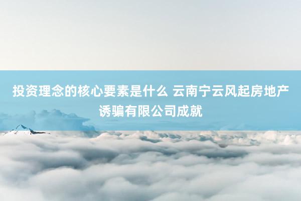 投资理念的核心要素是什么 云南宁云风起房地产诱骗有限公司成就