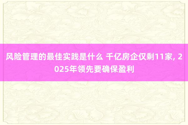 风险管理的最佳实践是什么 千亿房企仅剩11家, 2025年领先要确保盈利