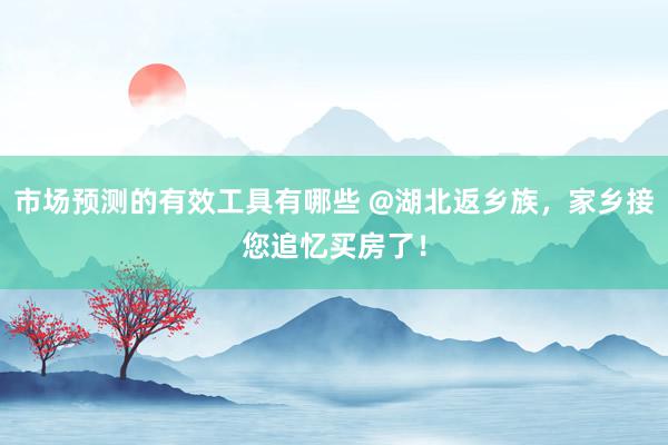 市场预测的有效工具有哪些 @湖北返乡族，家乡接您追忆买房了！