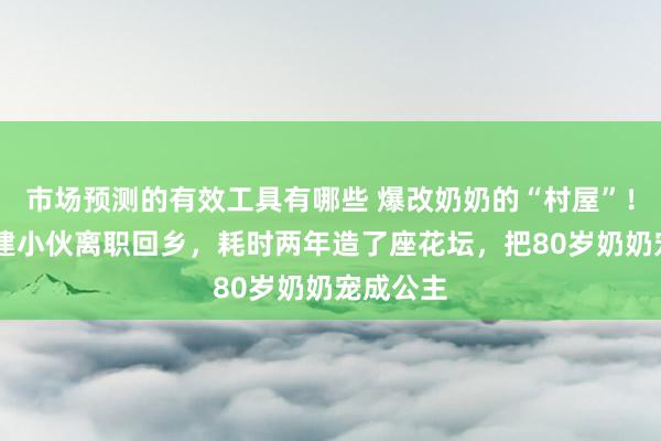 市场预测的有效工具有哪些 爆改奶奶的“村屋”！90后福建小伙离职回乡，耗时两年造了座花坛，把80岁奶奶宠成公主