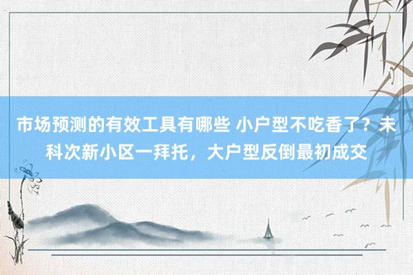 市场预测的有效工具有哪些 小户型不吃香了？未科次新小区一拜托，大户型反倒最初成交