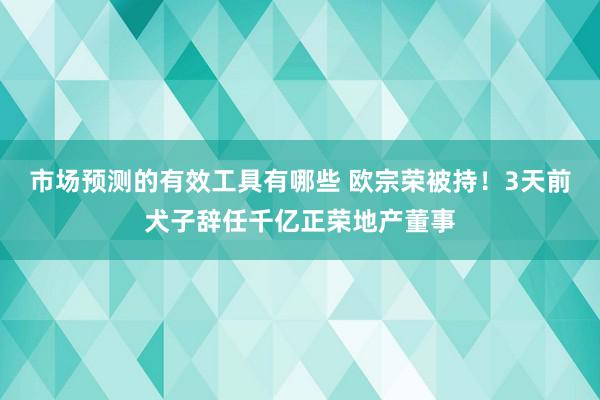 市场预测的有效工具有哪些 欧宗荣被持！3天前犬子辞任千亿正荣地产董事