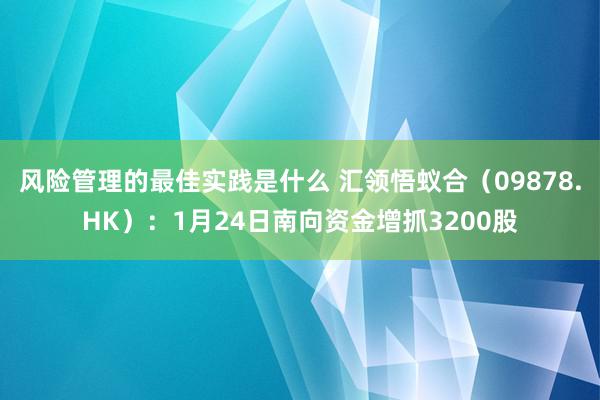 风险管理的最佳实践是什么 汇领悟蚁合（09878.HK）：1月24日南向资金增抓3200股