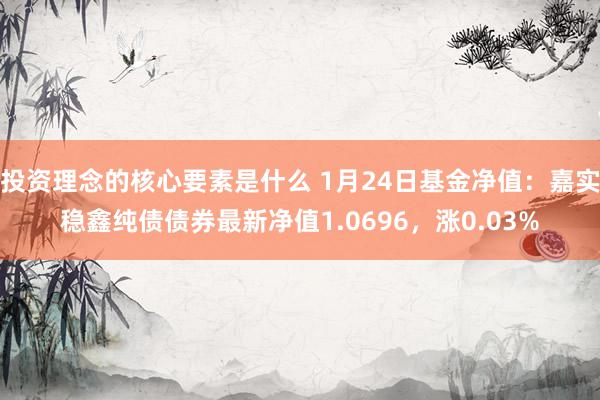 投资理念的核心要素是什么 1月24日基金净值：嘉实稳鑫纯债债券最新净值1.0696，涨0.03%