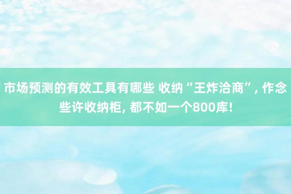 市场预测的有效工具有哪些 收纳“王炸洽商”, 作念些许收纳柜, 都不如一个800库!