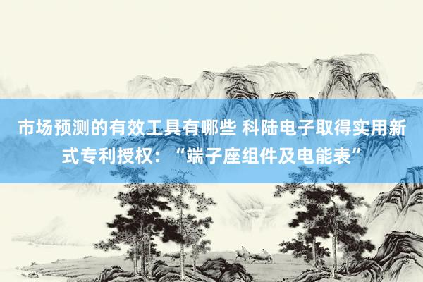 市场预测的有效工具有哪些 科陆电子取得实用新式专利授权：“端子座组件及电能表”