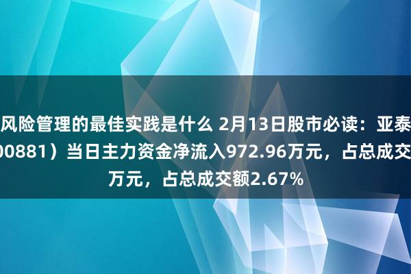 风险管理的最佳实践是什么 2月13日股市必读：亚泰集团（600881）当日主力资金净流入972.96万元，占总成交额2.67%