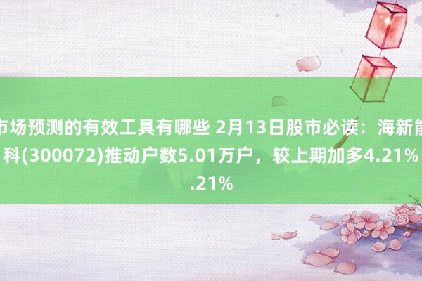 市场预测的有效工具有哪些 2月13日股市必读：海新能科(300072)推动户数5.01万户，较上期加多4.21%