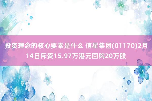 投资理念的核心要素是什么 信星集团(01170)2月14日斥资15.97万港元回购20万股