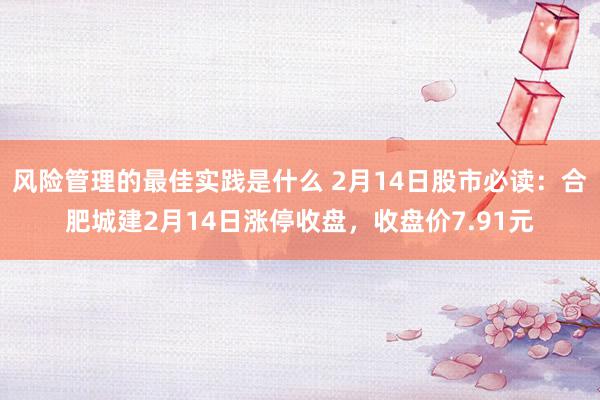 风险管理的最佳实践是什么 2月14日股市必读：合肥城建2月14日涨停收盘，收盘价7.91元