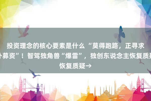 投资理念的核心要素是什么 “莫得跑路，正寻求国外募资”！智驾独角兽“爆雷”，独创东说念主恢复质疑→