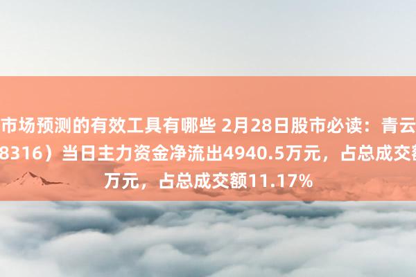 市场预测的有效工具有哪些 2月28日股市必读：青云科技（688316）当日主力资金净流出4940.5万元，占总成交额11.17%