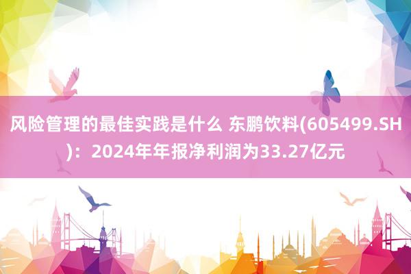 风险管理的最佳实践是什么 东鹏饮料(605499.SH)：2024年年报净利润为33.27亿元