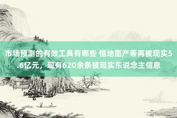 市场预测的有效工具有哪些 恒地面产等再被现实5.6亿元，现有620余条被现实东说念主信息