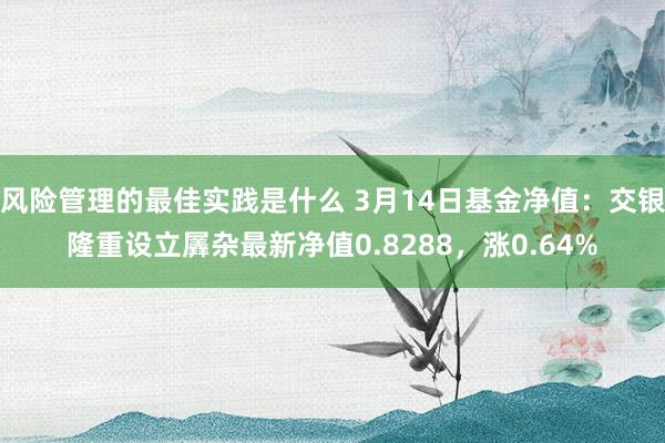 风险管理的最佳实践是什么 3月14日基金净值：交银隆重设立羼杂最新净值0.8288，涨0.64%